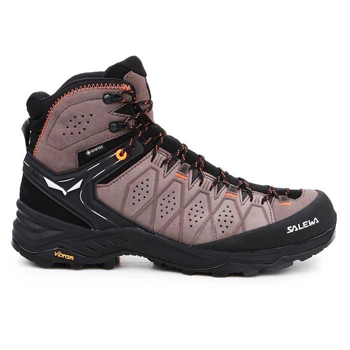 Salewa Alp Trainer2 Gtx Wallnut