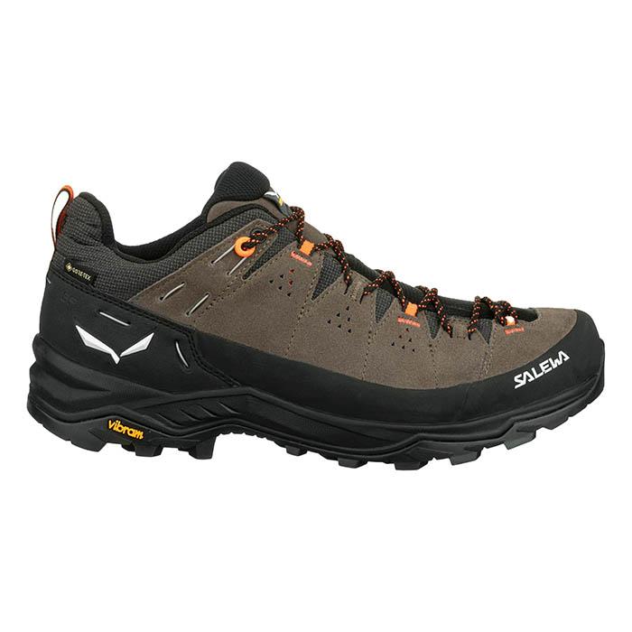 Salewa Alp Trainer2 Gtx Bunge