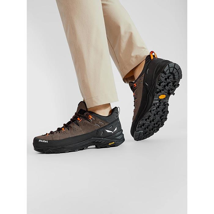Salewa Alp Trainer 2